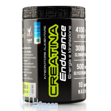 NET CREATINA ENDURANCE 360 GR